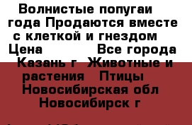 Волнистые попугаи, 2 года.Продаются вместе с клеткой и гнездом. › Цена ­ 2 800 - Все города, Казань г. Животные и растения » Птицы   . Новосибирская обл.,Новосибирск г.